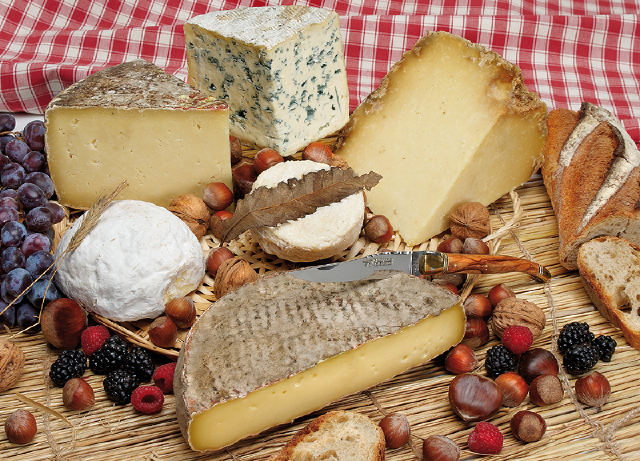 種類繁多各種不同口味的乳酪
